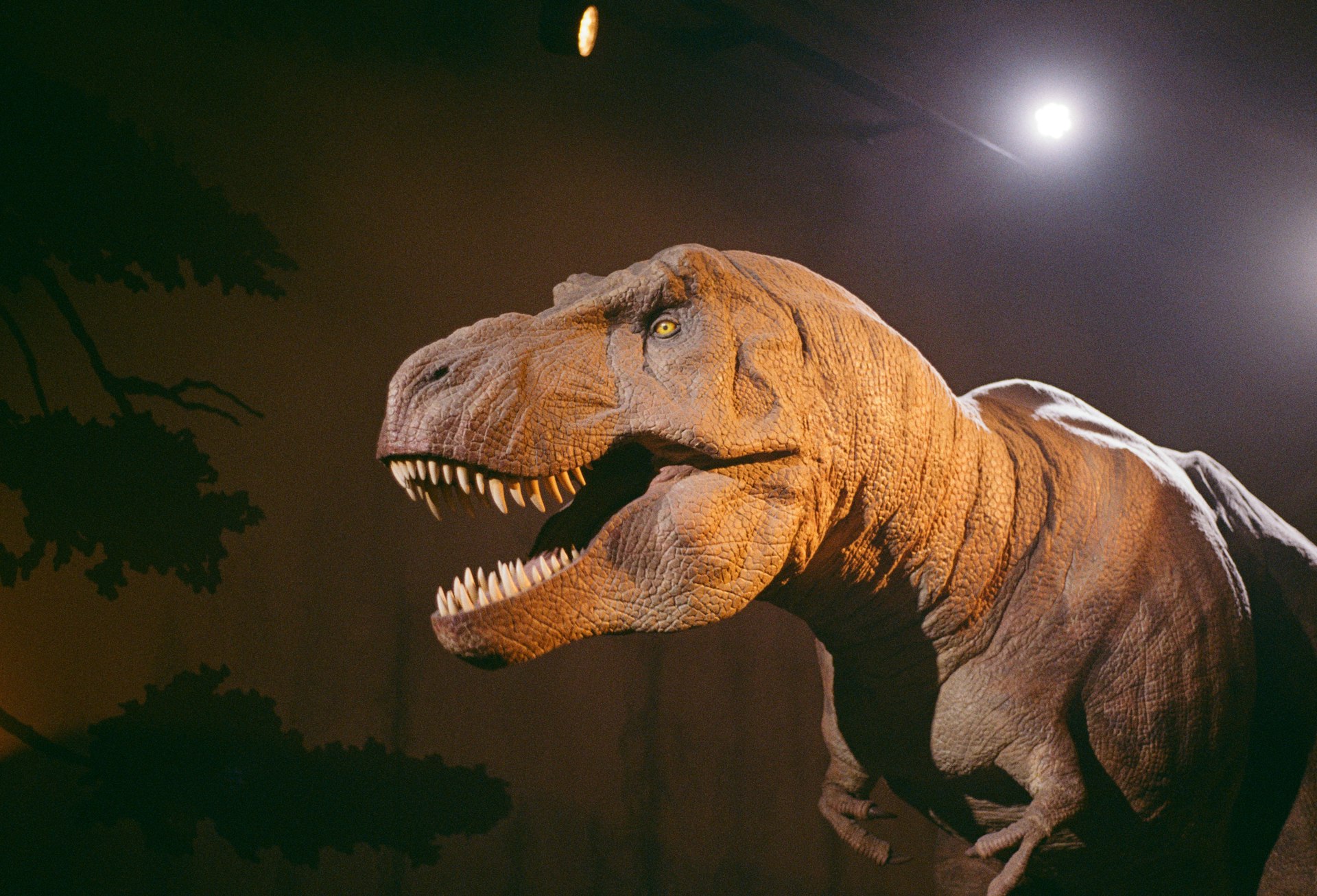 Dinos Alive: An Immersive Experience — San Diego