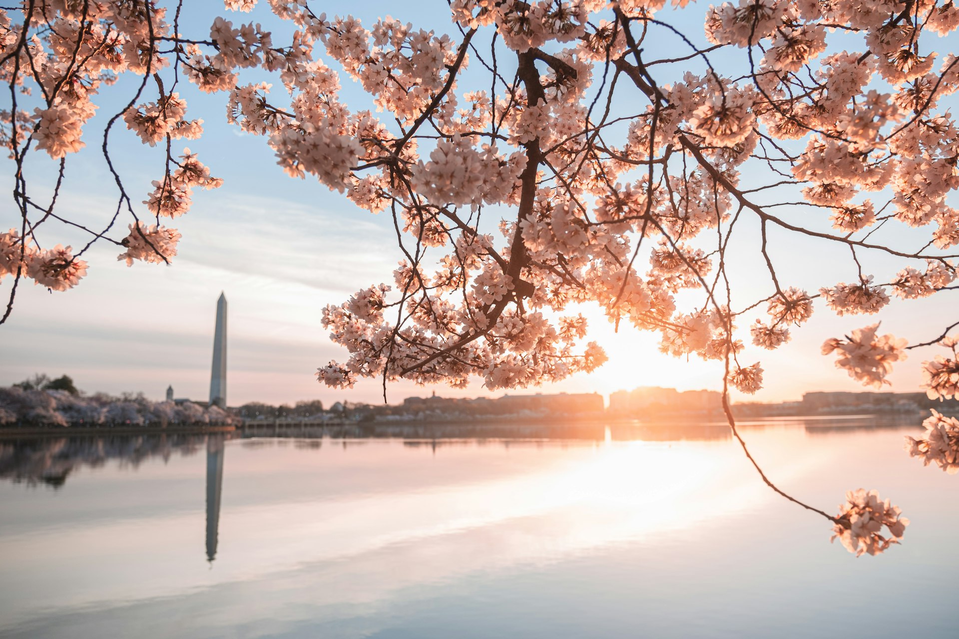 National Cherry Blossom Festival 2027 -- Washington, DC
