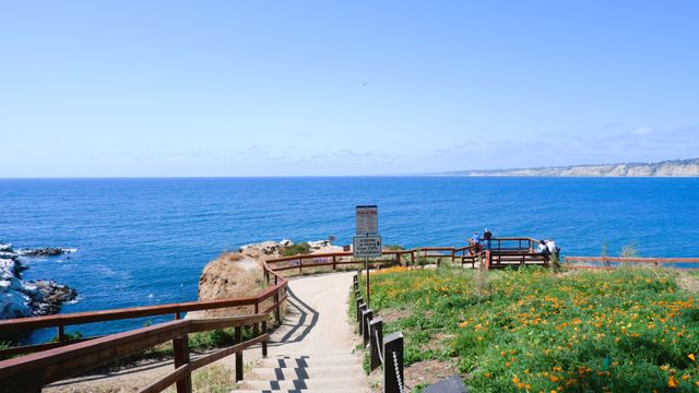 La Jolla Cove & the sea caves