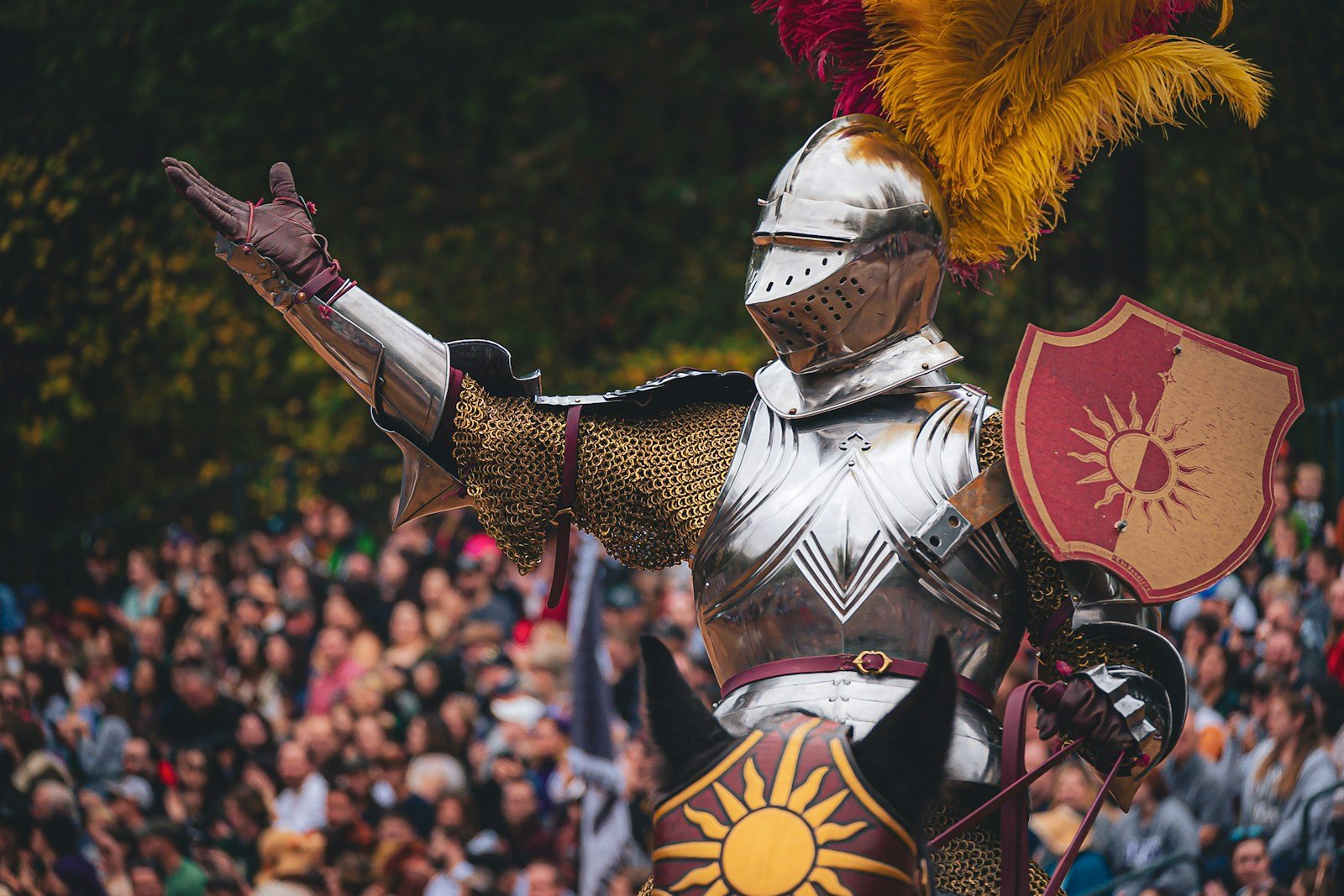 Idyllwild Renaissance Faire