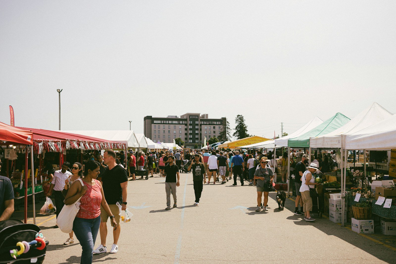 D6 Fall Festival