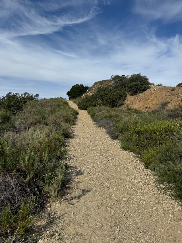 Mount Rubidoux