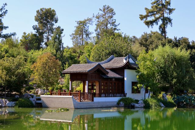 The Huntington Gardens
