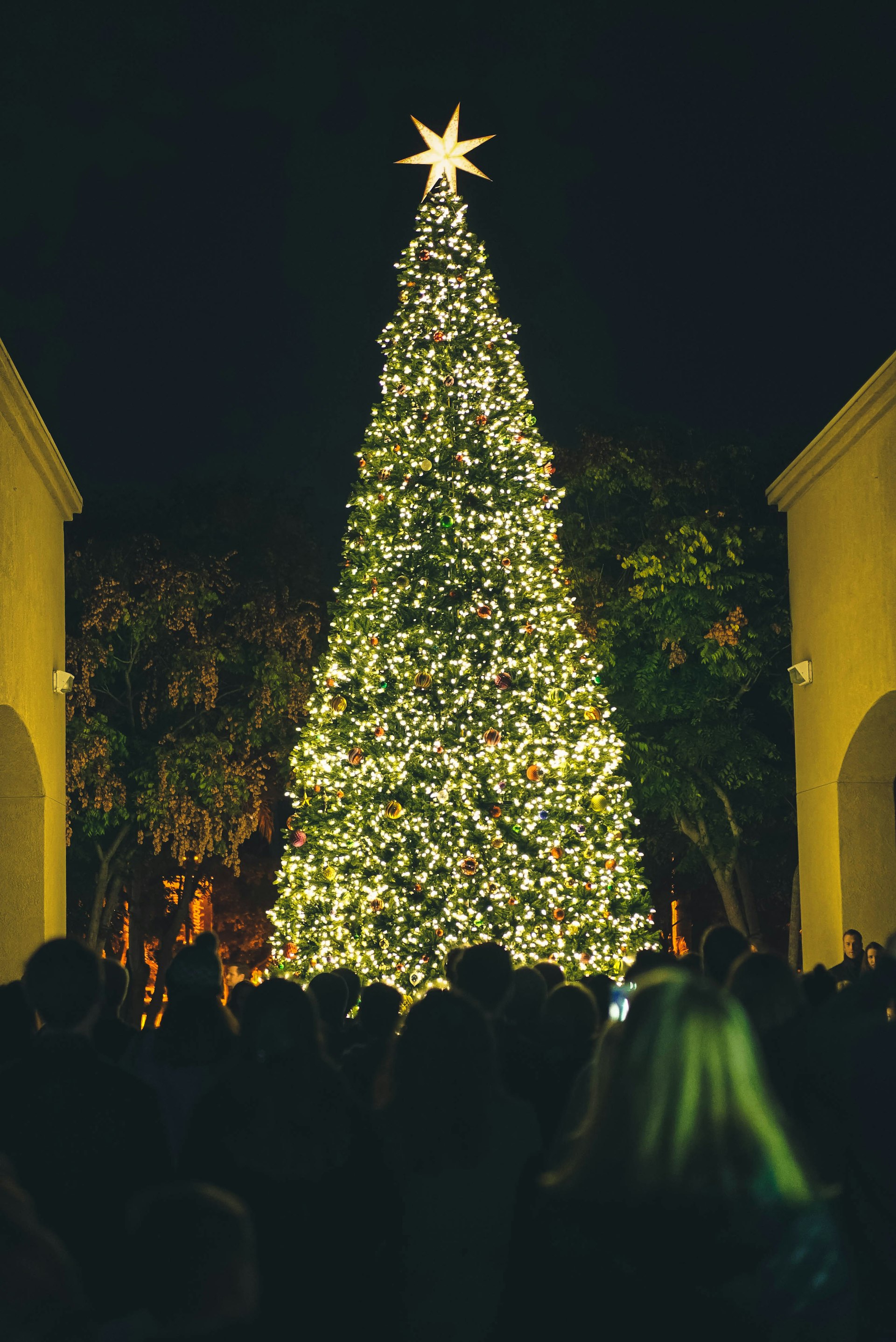 Rockefeller Center Christmas Tree Lighting 2026 — New York, NY