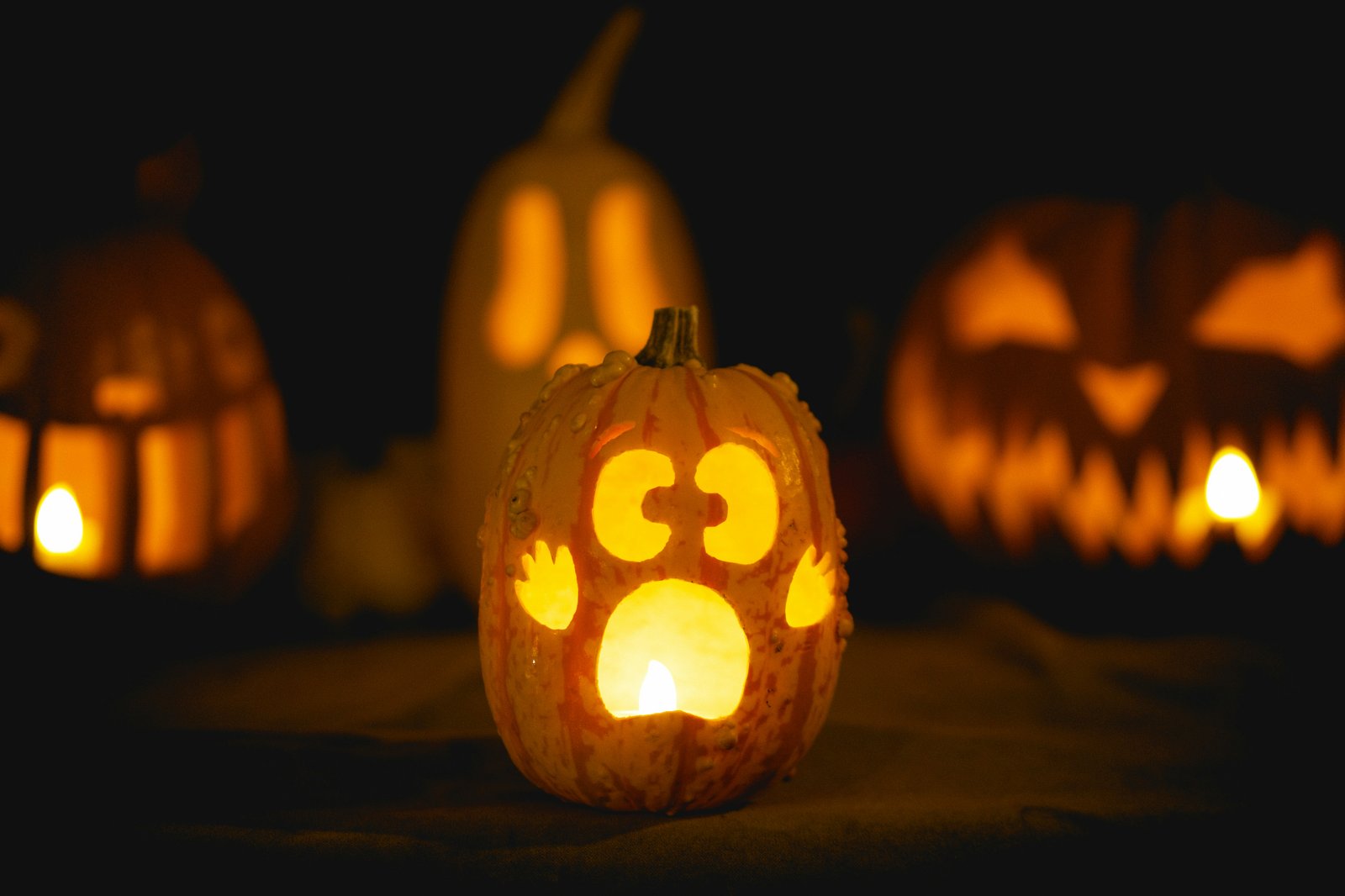 Irvine Park Railroad Pumpkin Patch & Fall Festival 2026