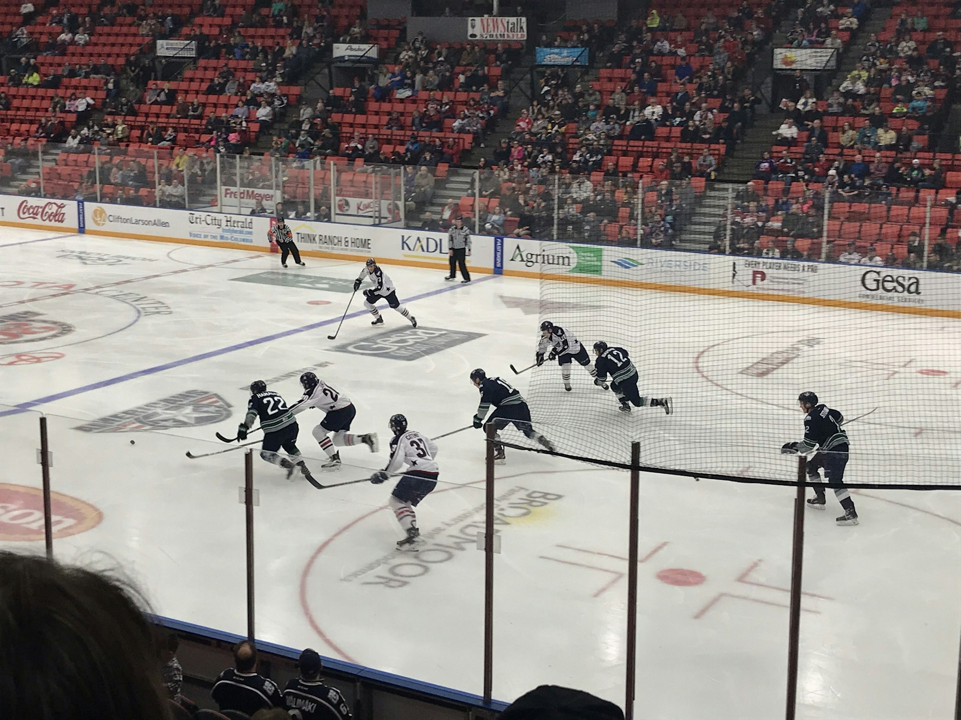 San Diego Gulls vs Ontario Reign