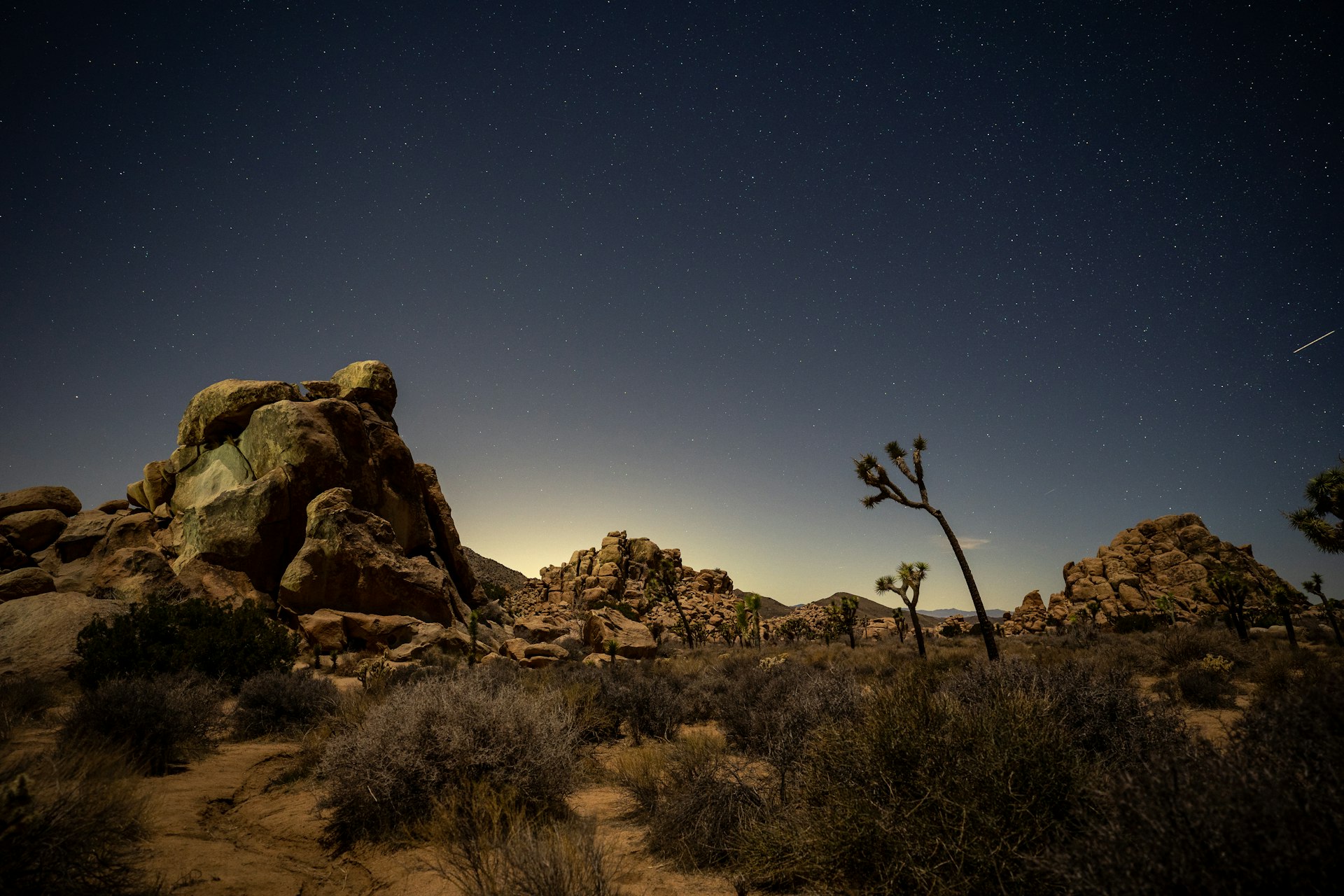 Joshua Tree Night Sky Festival 2026