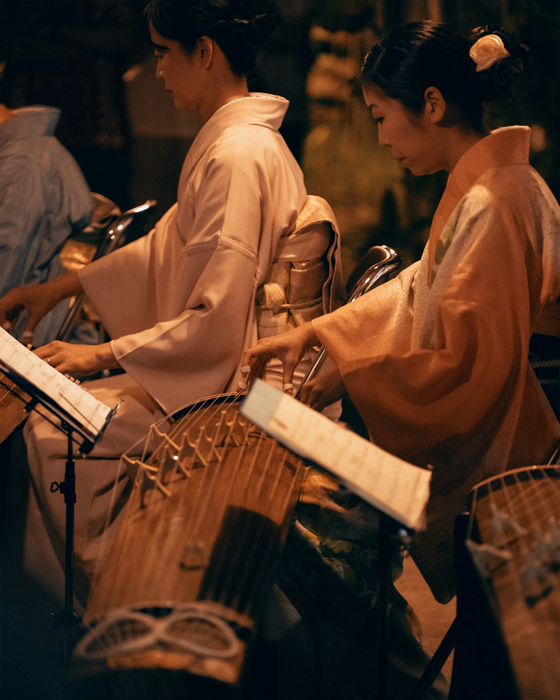 Hiroshima - Rhythm on the Vine at South Coast Winery