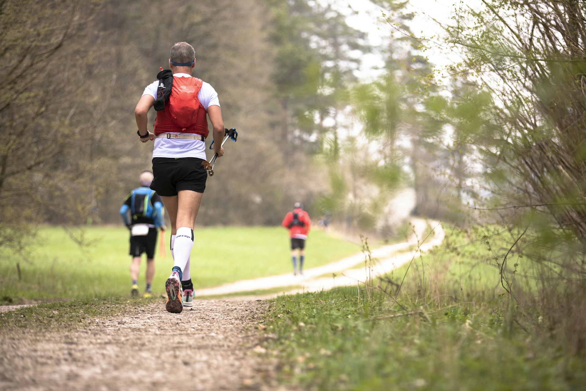 Noble Canyon 50K & 15K Trail Races